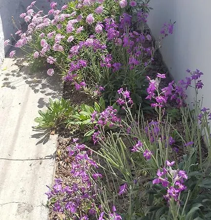 Anna Paros * Νάουσα