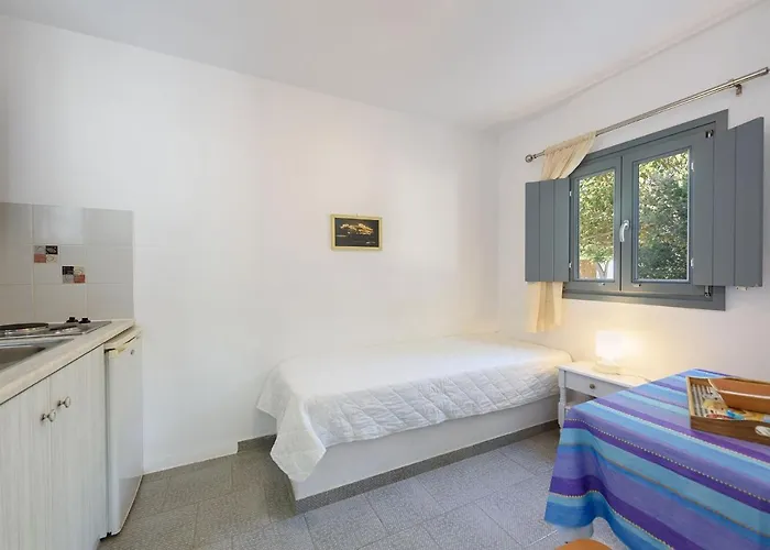 Anna Paros 나오우사