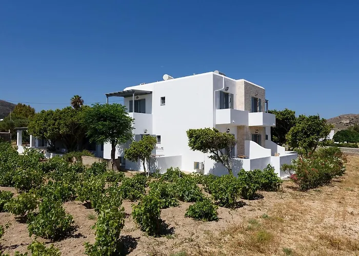 Anna Paros 公寓 纳乌萨