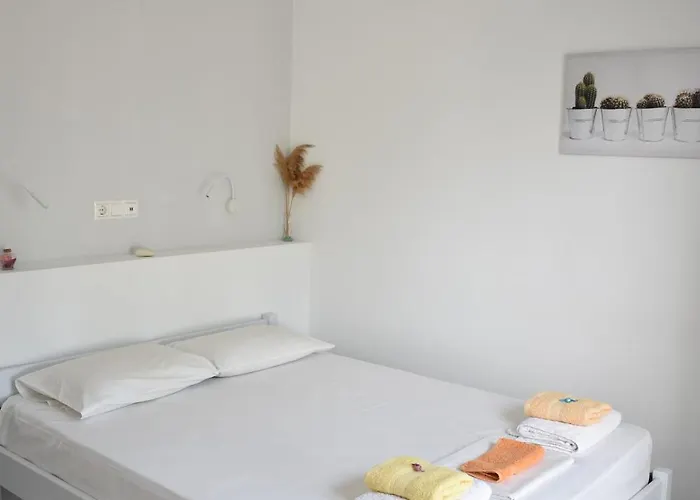 Anna Paros 纳乌萨