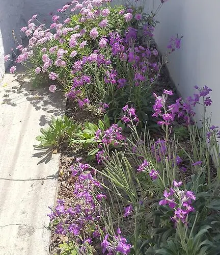 Anna Paros * 纳乌萨