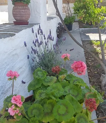 公寓 Anna Paros 纳乌萨